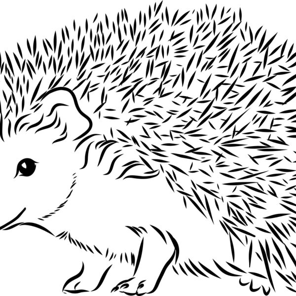 Hedgehog   Clipart 2 Thumbnail