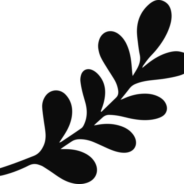 Leaf Stem Branch Thumbnail