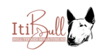ItiBull 