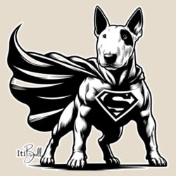 super bully cushion cover Design