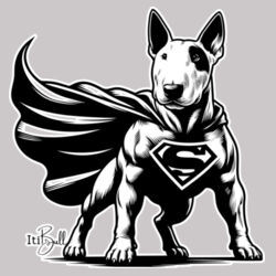 super bully womens supply hoodie Design